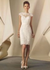 Mid-Length Lace Sheath Wedding Dress
