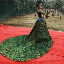 Peacock Feather Dress
