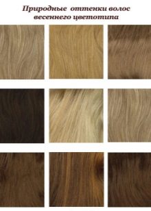 Shades of hair color type Spring