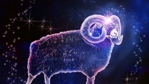 Avinas suderinamas su kitais zodiako ženklais