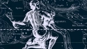 Muž Aquarius-Rooster: popis osobnosti a interakce