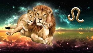 Caracteristicile unui bărbat Leu născut în anul taurului