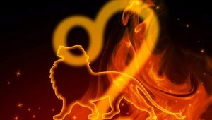 Quin signe del zodiac s’adapta a Leo?