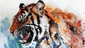 Scorpio žena narodená v roku tiger: charakteristika a kompatibilita