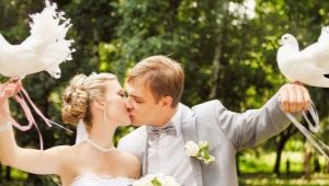 Coloms al casament: tot sobre les característiques de la tradició