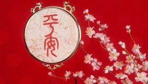 Talismani e amuleti del Feng Shui: appuntamento, consigli per la scelta