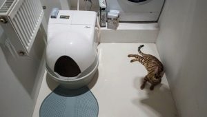 Kediler için otomatik tuvaletler: özellikler, model seçimi ve derecelendirilmesi