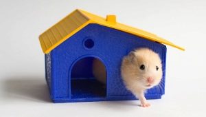 Cabanas de hamster: características, variedades, seleção e instalação