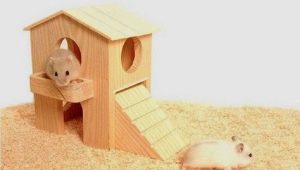 Hvordan og fra hvad skal man lave et hus til hamster med egne hænder?