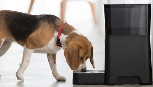 Automatiske matere for hunder: typer og prinsipper for drift