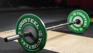 Barbell Vultures: Types, Weight, Dimensions, and Tips for Choosing