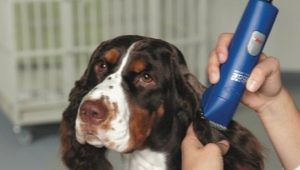 Hundeplejemaskiner: sorter, udvælgelse og anvendelse