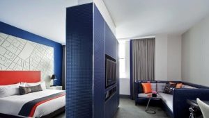 Slaapkamer-woonkamer: de keuze uit meubels, opties voor planning en interieurontwerp