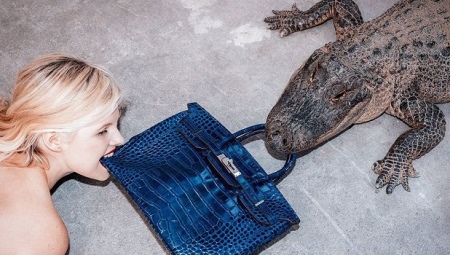 Krokodille kvinner poser