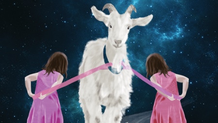 Kembar yang dilahirkan pada tahun kambing: pencirian dan keserasian