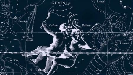 Characteristics and compatibility of male Gemini, born in the year of the Tiger