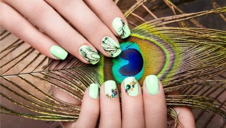 Manicure com pássaros: exemplos de tendências de design e moda