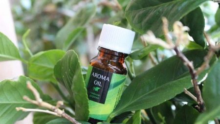 Tea tree oil for acne: egenskaper, rekommendationer för urval och användning