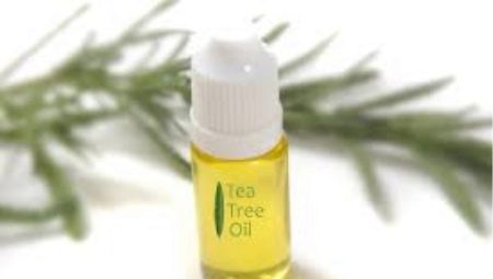 Aceite de árbol de té: los beneficios y daños, sutilezas de elección y aplicación