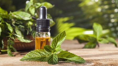 Peppermint Oil: Properties and Applications