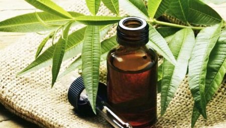 Egenskaper och rekommendationer för användningen av tea tree olja från nagelsvamp