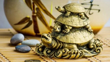 Der Wert der Schildkröte: Wo soll man setzen, was Schmuck und Talismane symbolisiert?