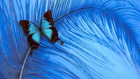 Blauwe kleur in psychologie: wat betekent het en symboliseert het?