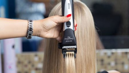 Dyser for polering av hår: beskrivelse, valg og anvendelsesmuligheter