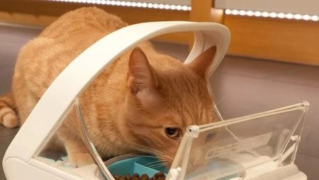 Automaattiset syöttölaitteet kissoille: tyypit, valintasäännöt ja tuotanto