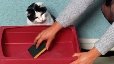 Minél jobban mosni a macska tálcát, hogy nincs szaga?