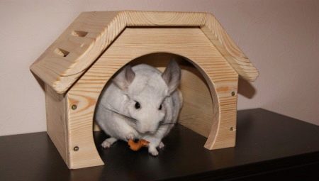 House for chinchilla: types and methods of manufacturing