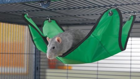 Sıçan için hamak: nasıl seçilir, kendin yap ve donat?