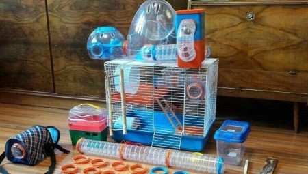 Legetøj til hamstere: udvælgelse og fremstilling
