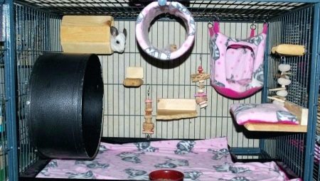 Toys for chinchillas: requirements, tips on choosing and making