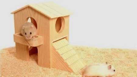 Cum și de la ce să faci o casă pentru un hamster cu mâinile tale?