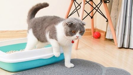 Hogyan válasszunk ki egy macska alom matracot?