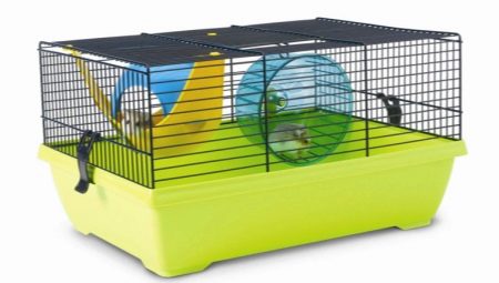 Cages for Dzungarian hamsters: what are and how to clean them?
