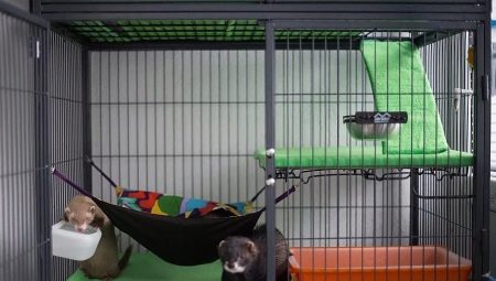 Ferret cages: features, selection and creation
