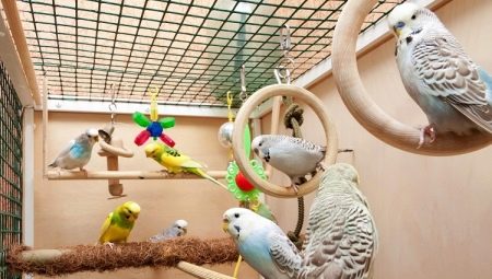 Dalgalı papağanlar için kafesler: seçim, düzenleme, montaj ve bakım