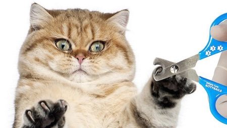 Řezačky na nehty Cat: typy, vlastnosti volby a ovládání