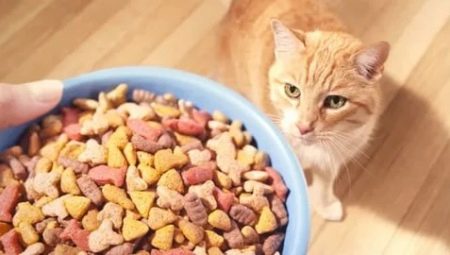 פרמיית חתול מזון: רכיבים, מותגים, בחירה