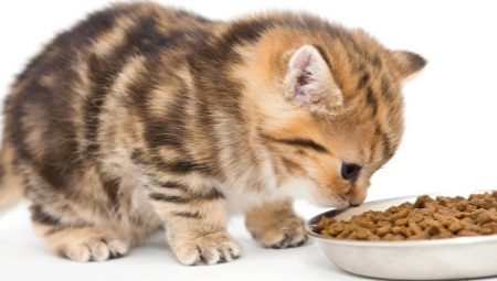 อาหารแมวพรีเมี่ยมระดับพรีเมียม: คำอธิบายแบรนด์คำแนะนำในการเลือก