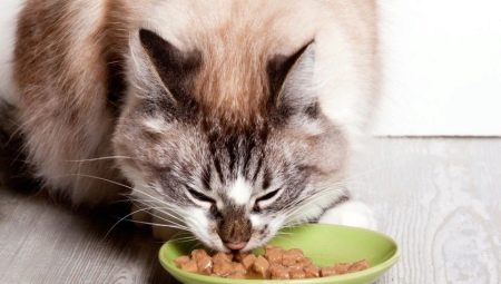 Super-premium hrana pentru pisici umede: compozitie, brand, alegere