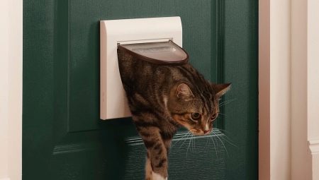 Een deur naar het toilet kiezen voor de kat