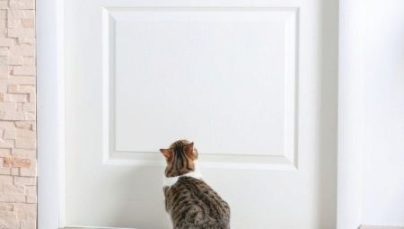 ما يجب القيام به بحيث القطط لا علامة الباب الأمامي؟