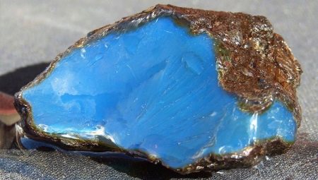 Blue Amber: descriere, proprietăți și îngrijire
