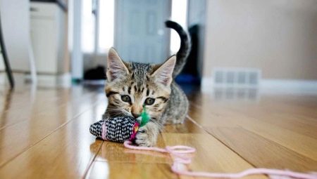 Hogyan készítsünk egy játékot egy macskára a saját kezedben?