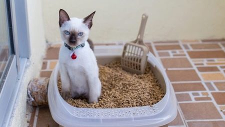 Bagaimana untuk memilih dan menggunakan dulang dengan kisi untuk kucing?