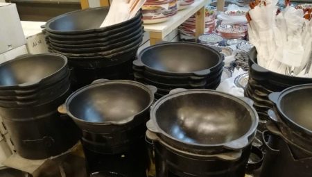 Cauldrons cho bếp cảm ứng: mô tả, loại, lựa chọn và hoạt động