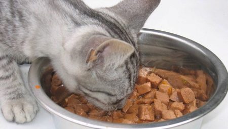מזון בשקים עבור חתולים: מה הם עושים וכמה לתת ליום?